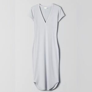 Aritzia dress